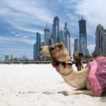 Trasferirsi a Dubai, ecco tutto quello che devi sapere