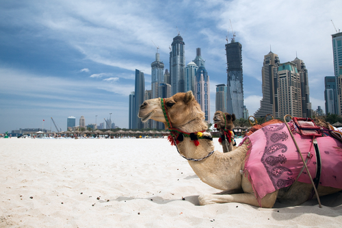 Trasferirsi a Dubai, ecco tutto quello che devi sapere